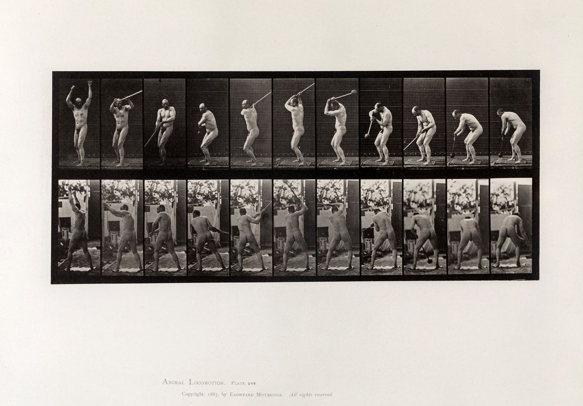 Eadweard Muybridge - Animal Locomotion (10 Sport Studies) Plate 308