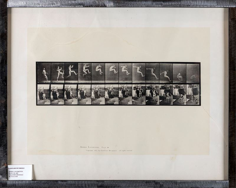 Eadweard Muybridge - Animal Locomotion (10 Sport Studies) Plate 159