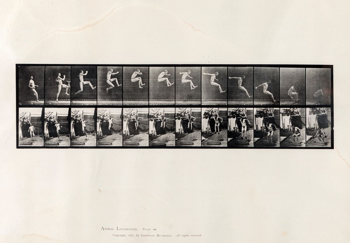 Eadweard Muybridge - Animal Locomotion (10 Sport Studies) Plate 159