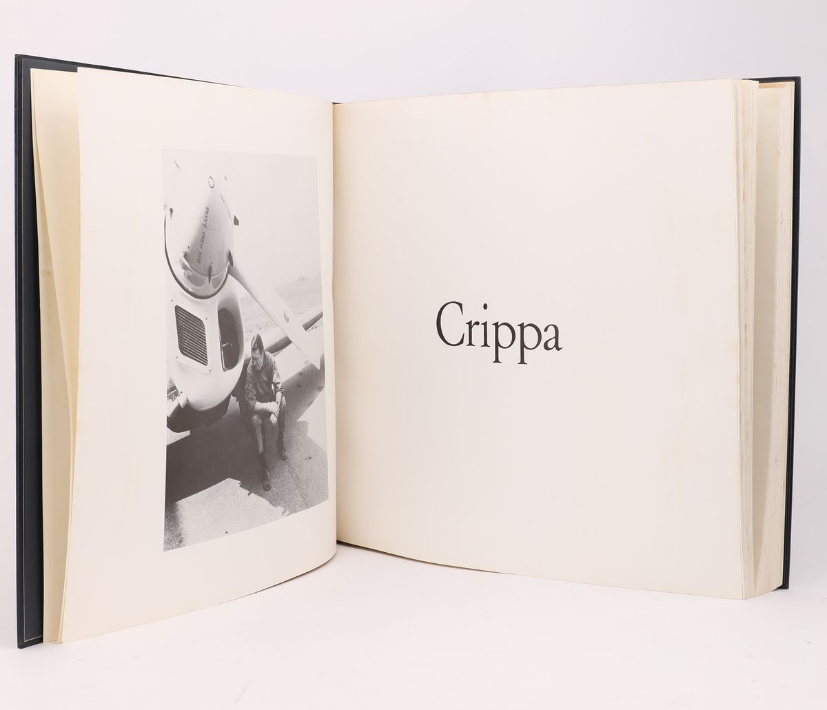 Roberto Crippa. Curriculum