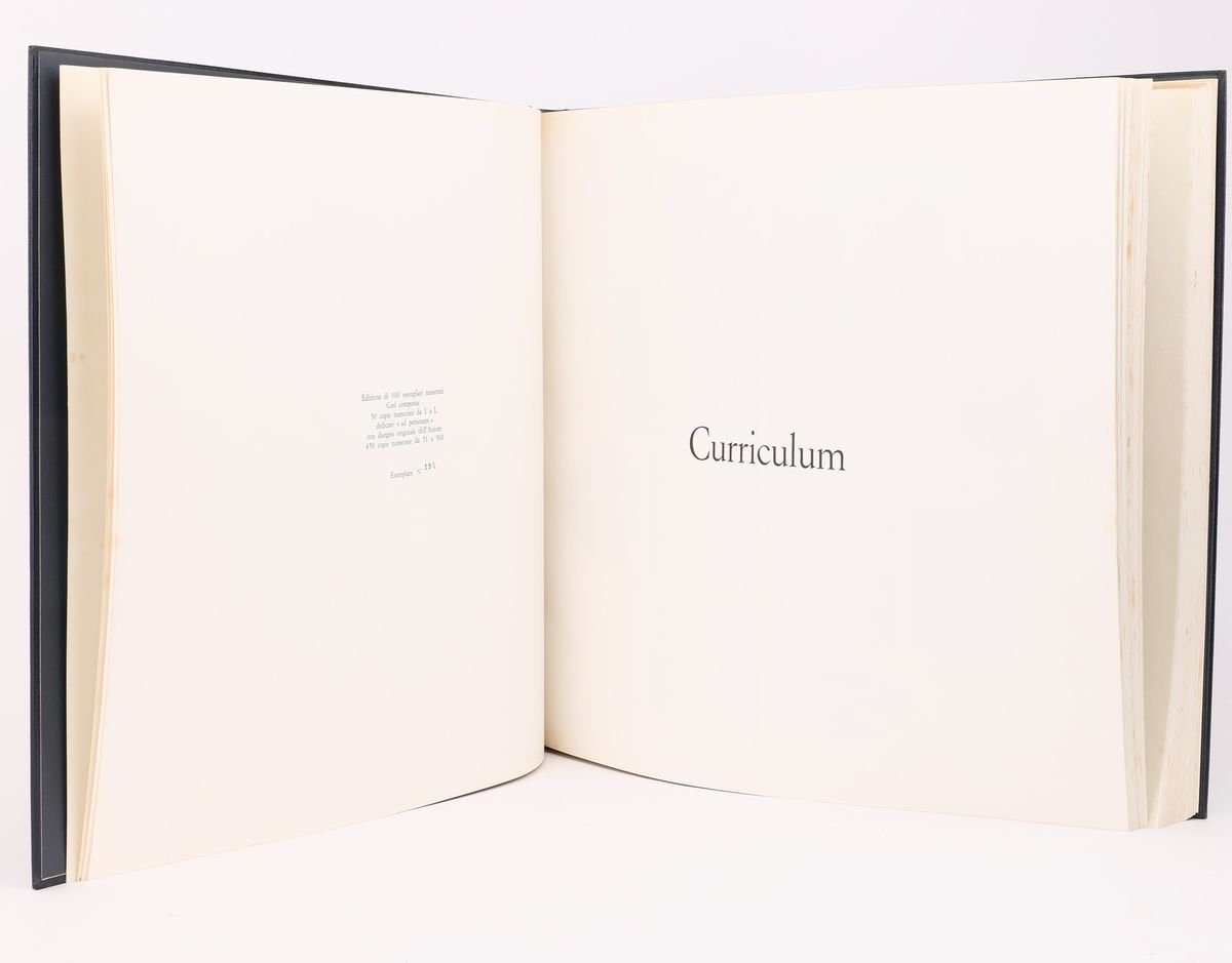 Roberto Crippa. Curriculum