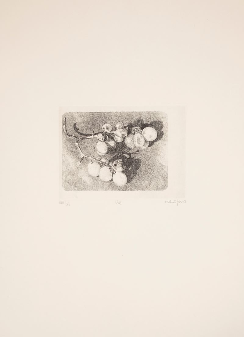 Mario Grosso - Uva