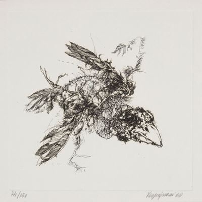 L'uccellino