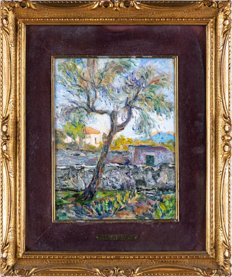 Alberto Chiancone - Ulivo