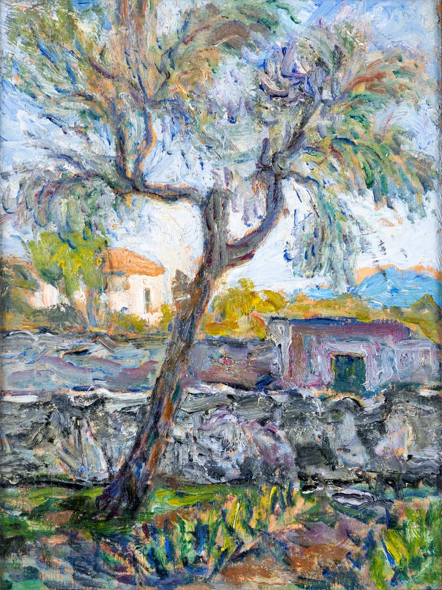 Alberto Chiancone - Ulivo