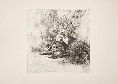 Passero