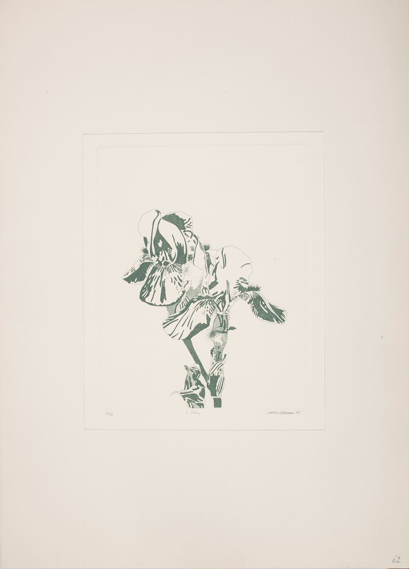 Attilio Steffanoni - Iris
