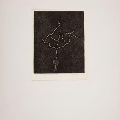 L'albero e le Crepe della Terra