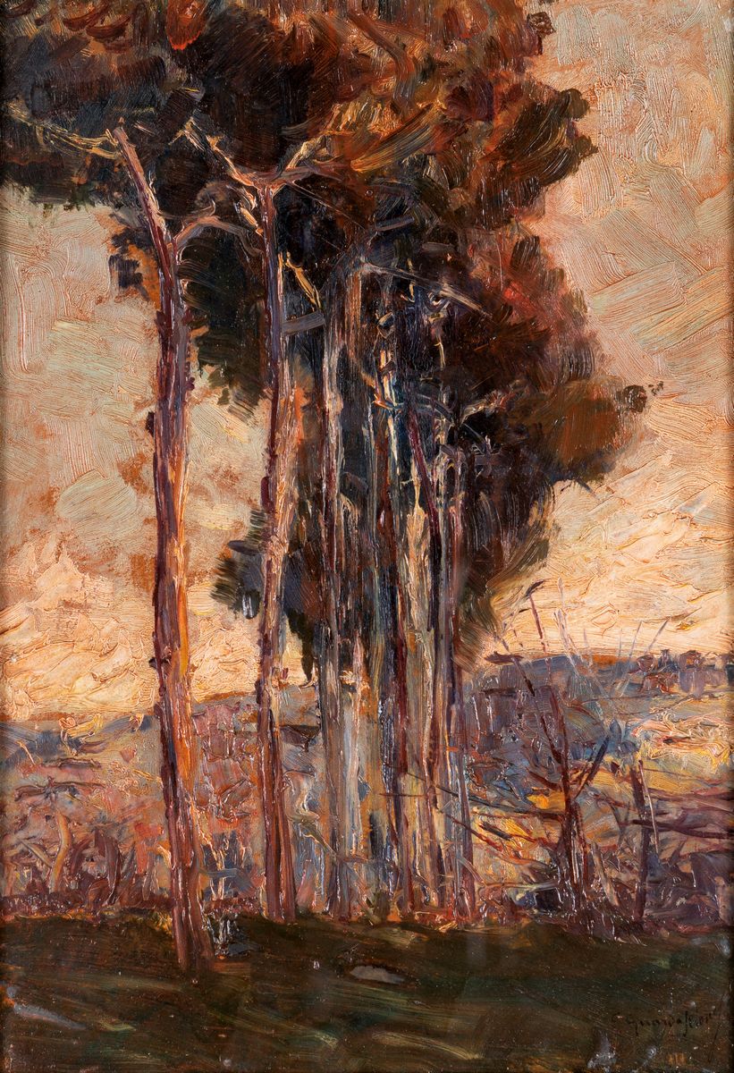 Ezechiele Guardascione - La Pineta