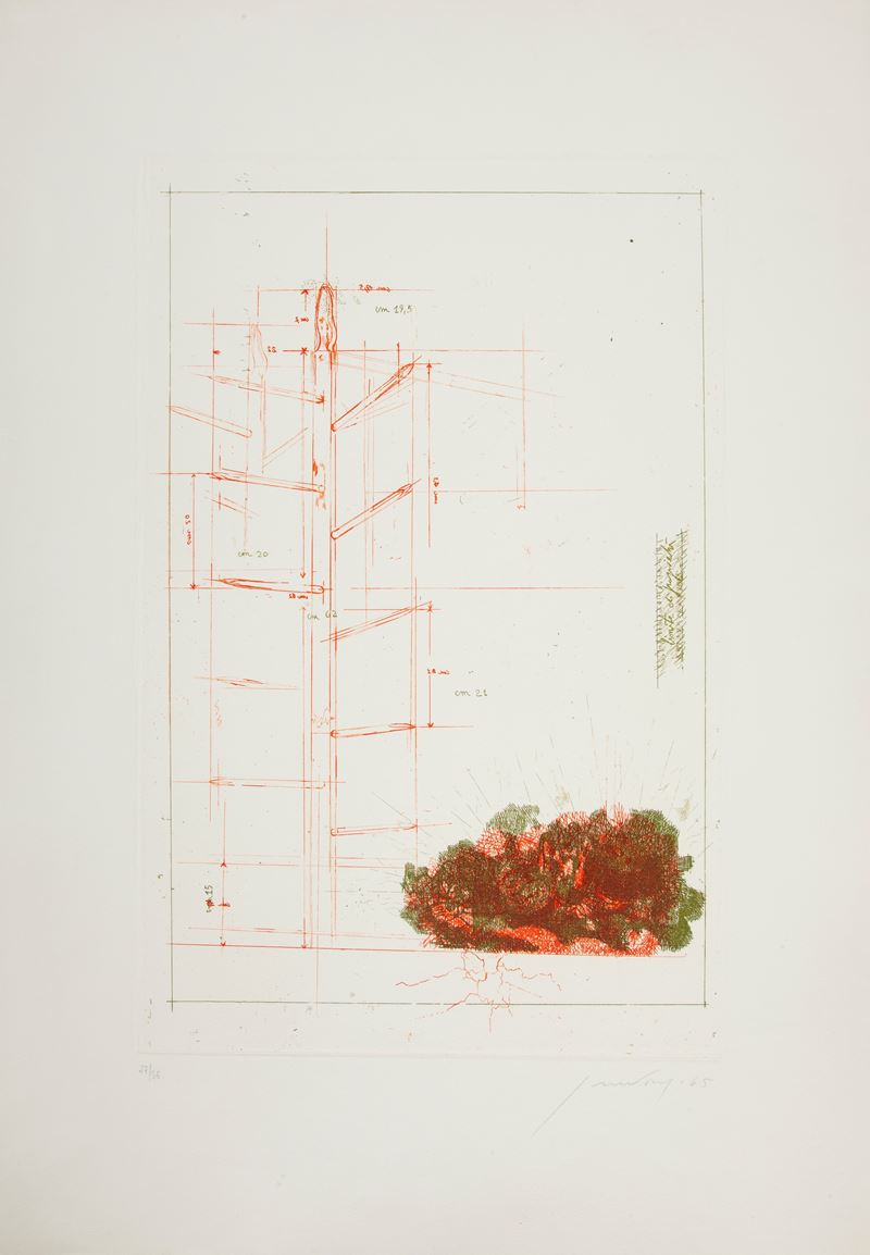 Piero Guccione - Limite di Proprietà