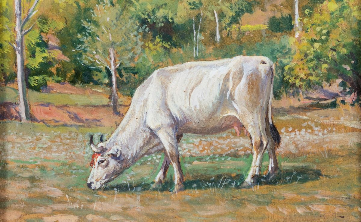 Ugo Fioravanti - Vacca al Pascolo
