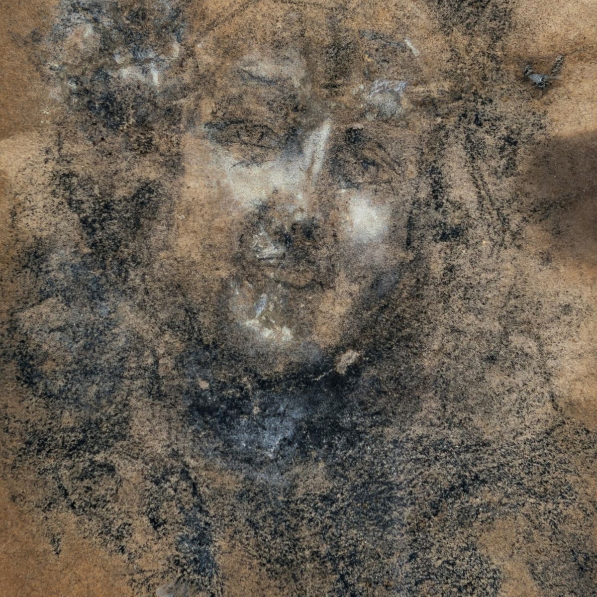 Anonimo del XX Secolo - Volto di Donna