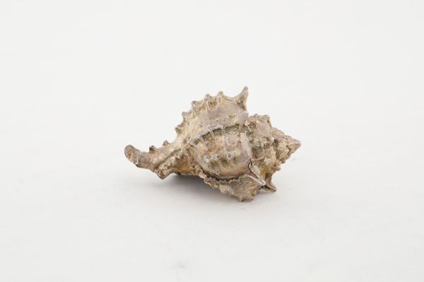 Federico Buccellati - conchiglia rivestita in argento