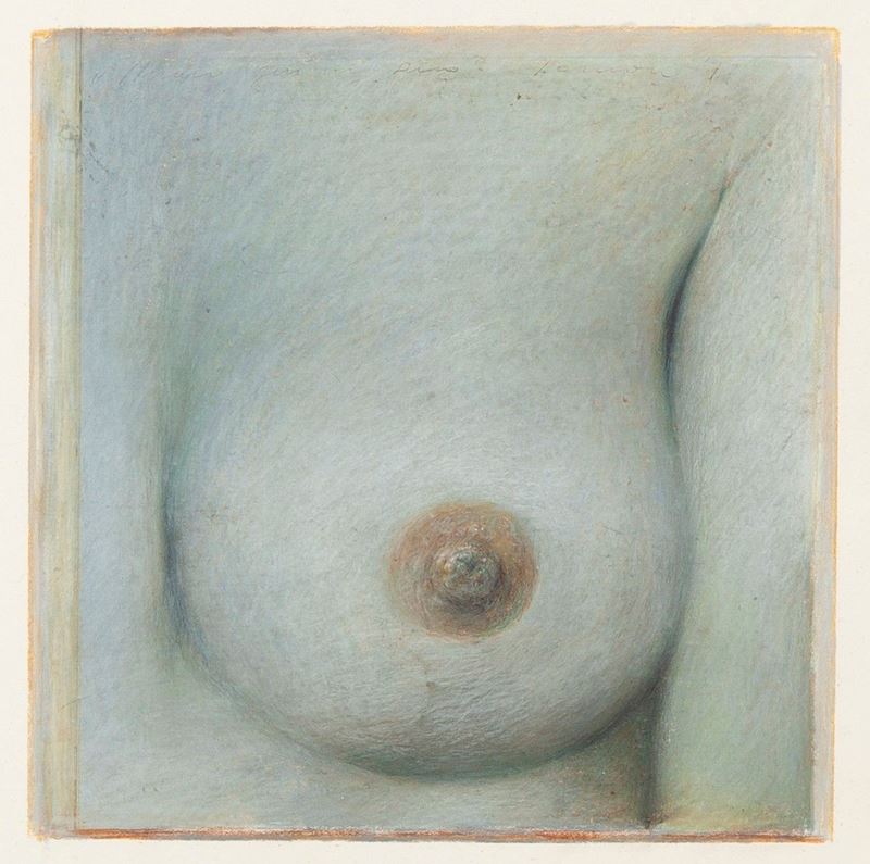 Franco Sarnari - Quadro per un Seno