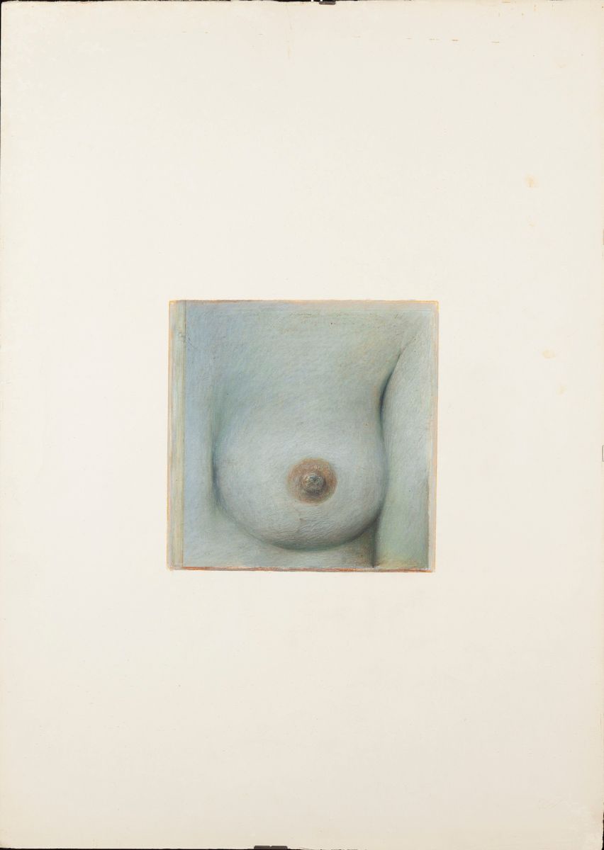 Franco Sarnari - Quadro per un Seno