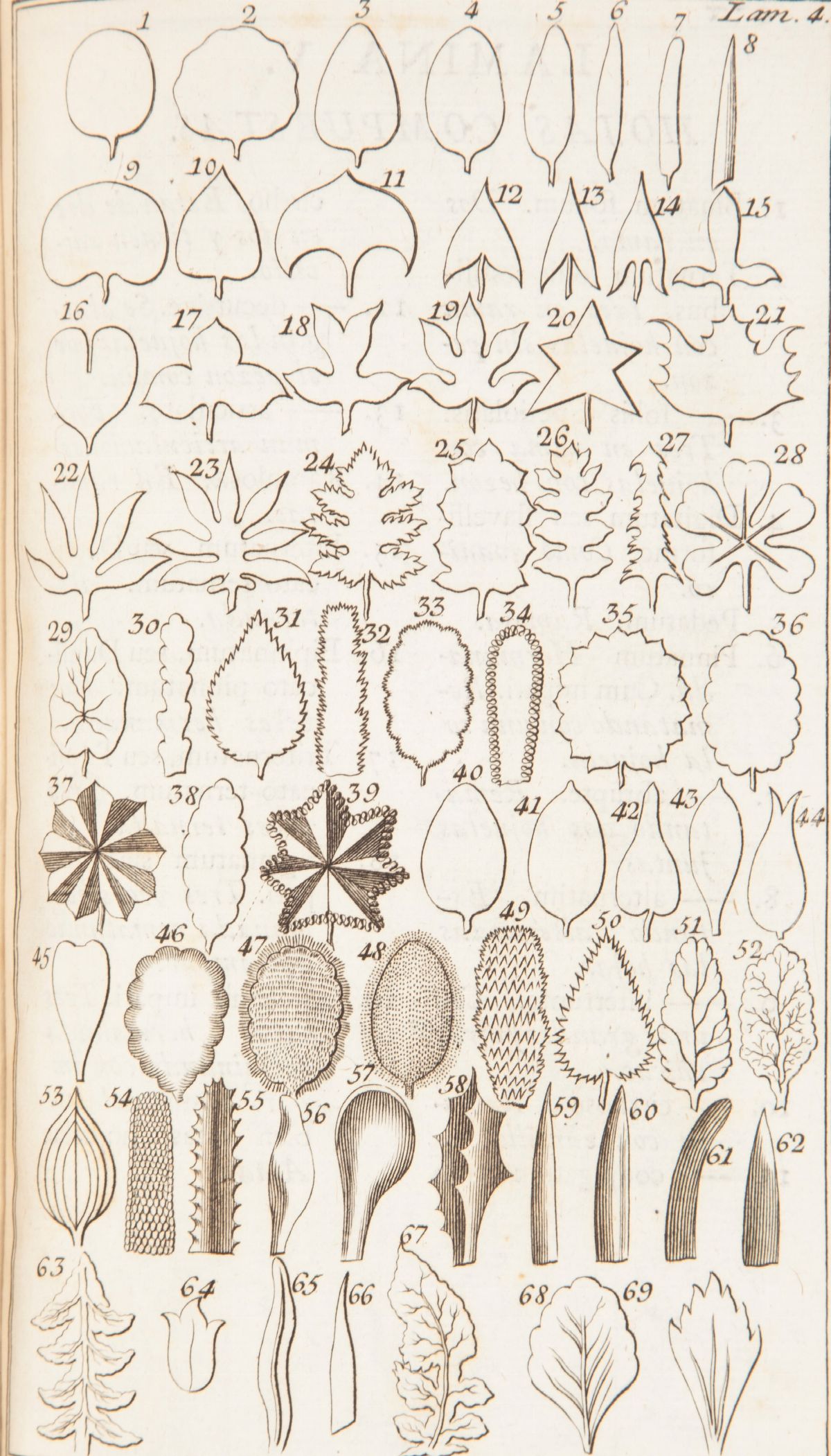 Antonio Palau Y Verdera - Explicacion De la Filosofia Y Fundamentos Botanicos De Linneo con la Qu...
