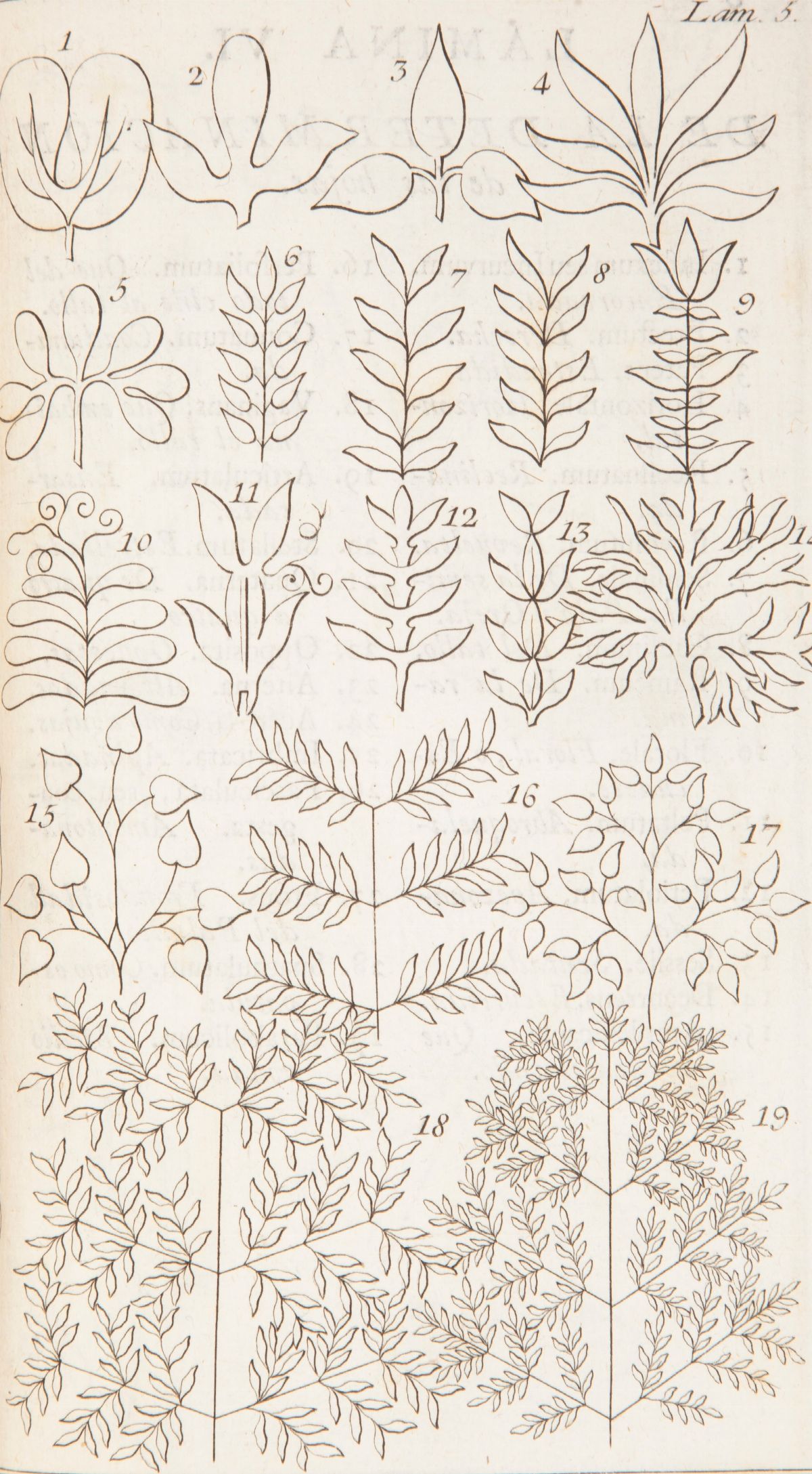 Antonio Palau Y Verdera - Explicacion De la Filosofia Y Fundamentos Botanicos De Linneo con la Qu...