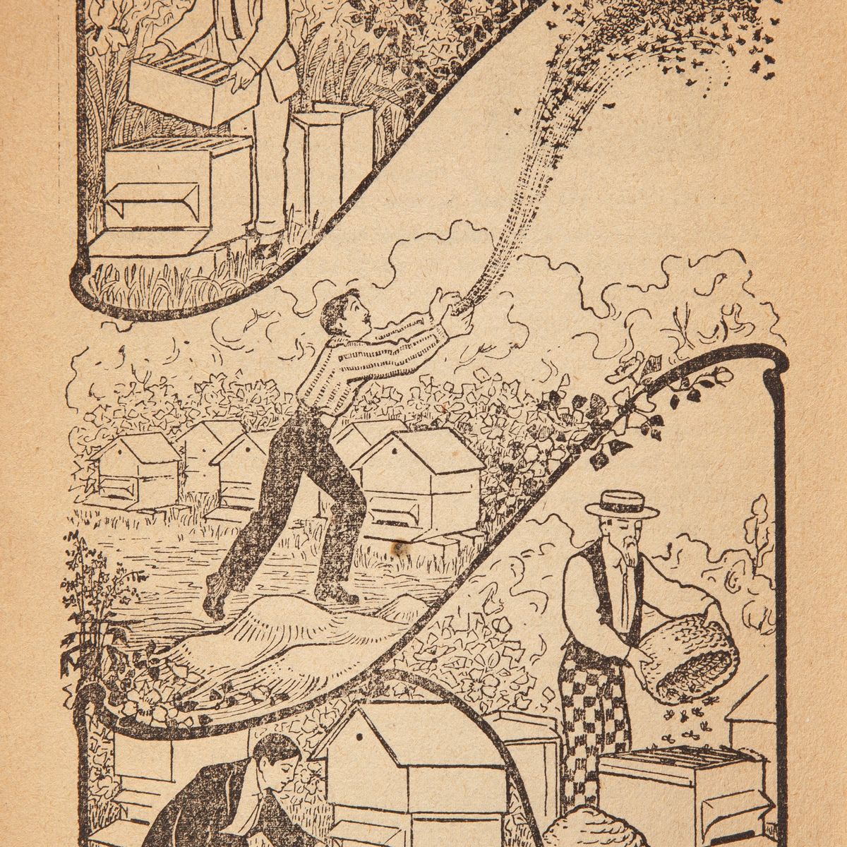 E. Alphandery - la Direzione Dell'apiario (calendario Dell'apicoltore). Illustrato della Fine Del...