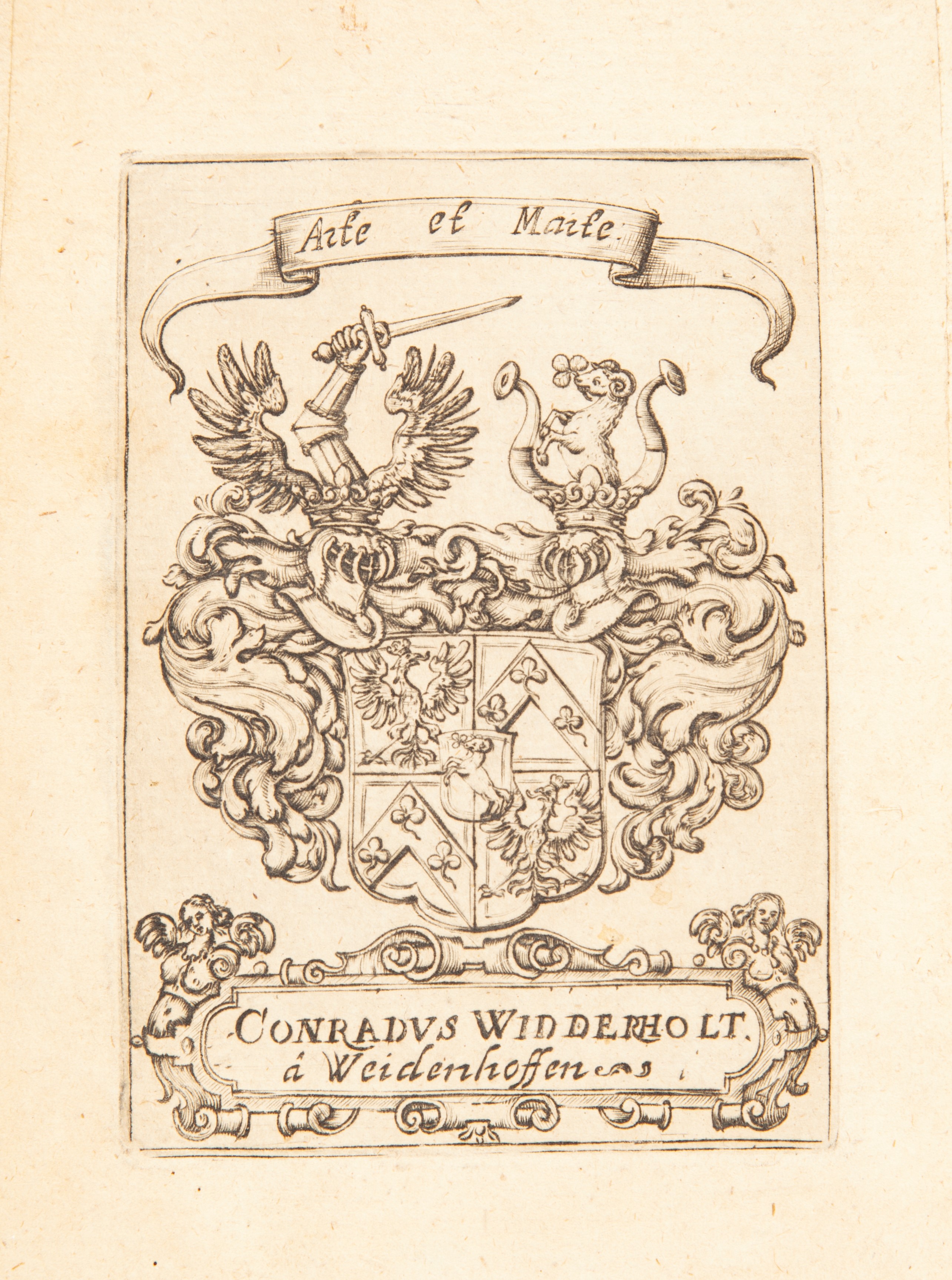 Magni Hippocratis Medicorum omnium facile principis Opera Omnia quae extant in VIII sectiones ex ...