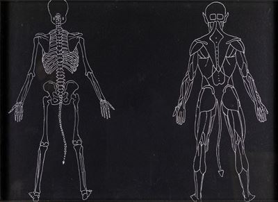 Anatomia di Diavolo