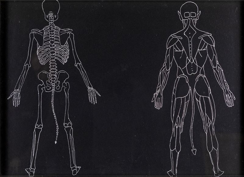 H. H. Lim - Anatomia di Diavolo