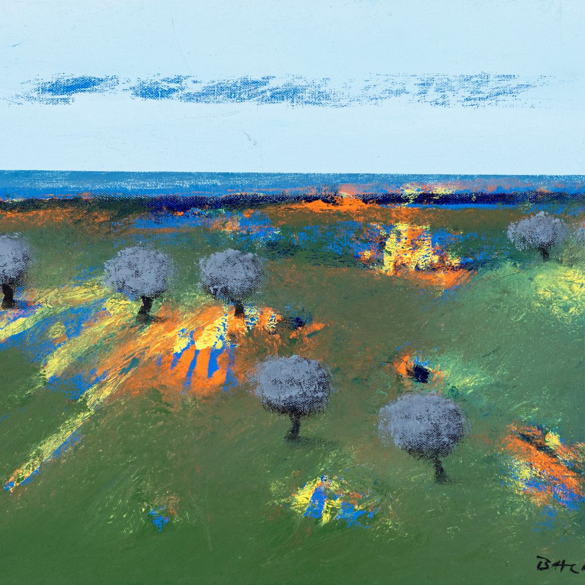 Manlio Bacosi - Marina