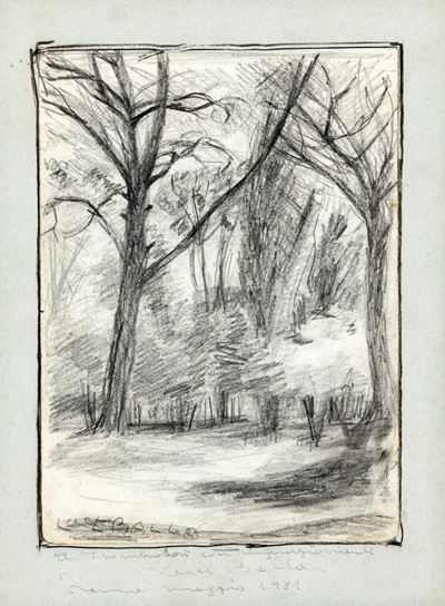 Bosco con Alberti