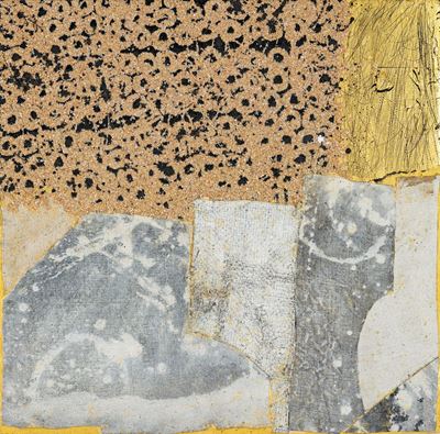 I Segni della Pittura