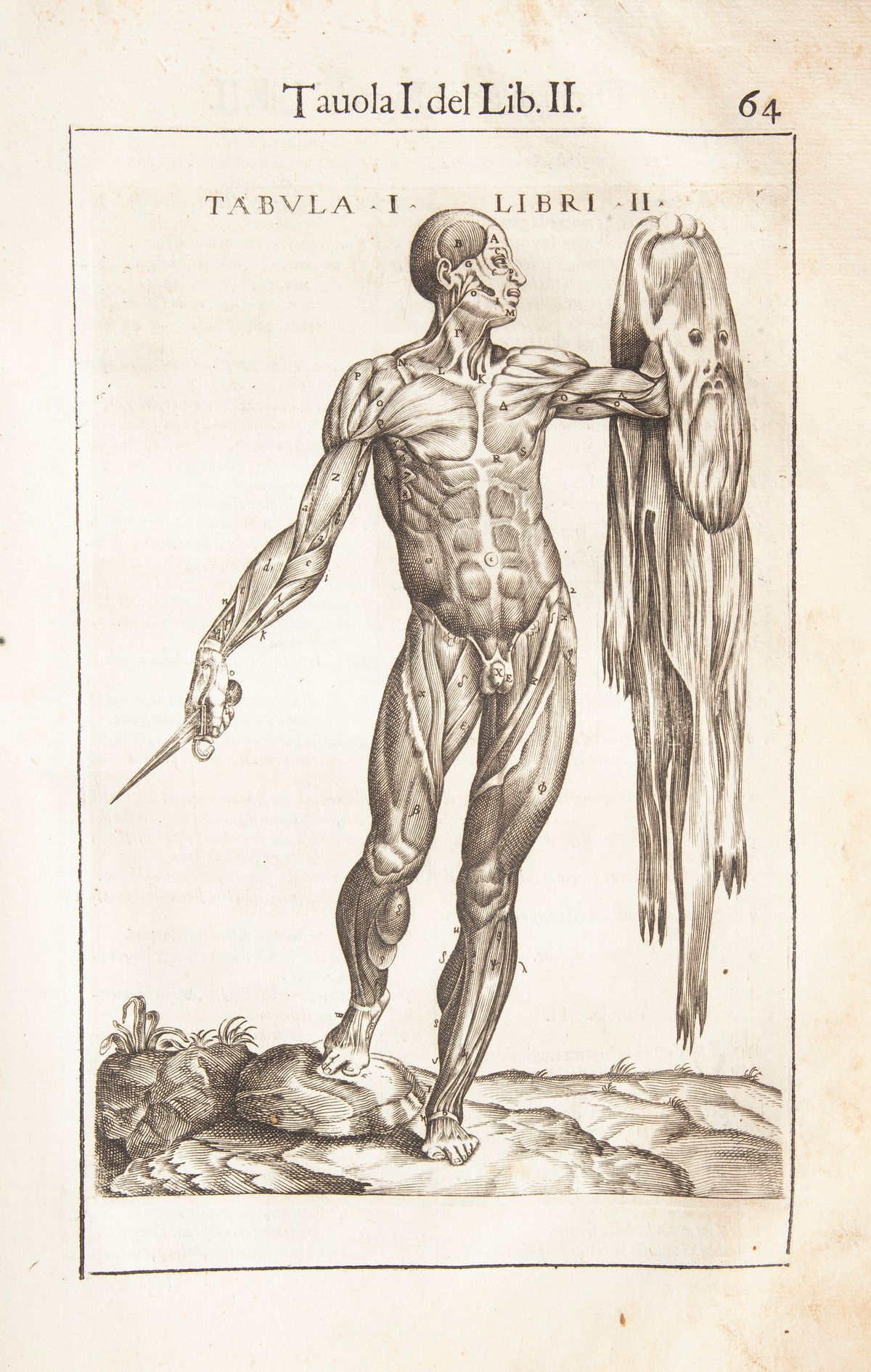 Giovanni Valverde - Anatomia del Corpo Humano Nuovamente Ristampata e con L'aggiunta D'alcune Tav...