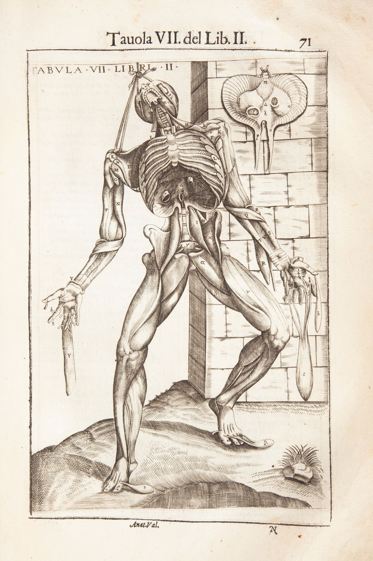 Giovanni Valverde - Anatomia del Corpo Humano Nuovamente Ristampata e con L'aggiunta D'alcune Tav...