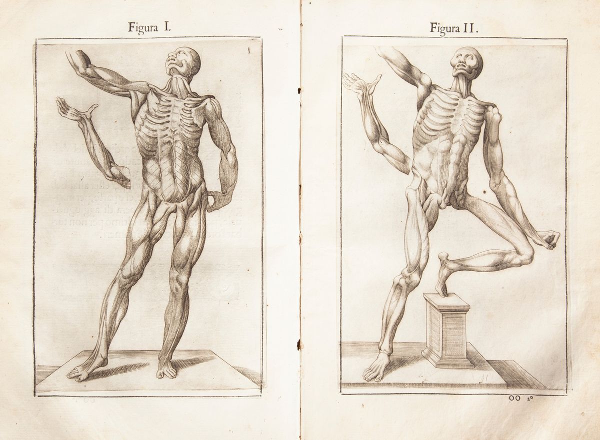Giovanni Valverde - Anatomia del Corpo Humano Nuovamente Ristampata e con L'aggiunta D'alcune Tav...