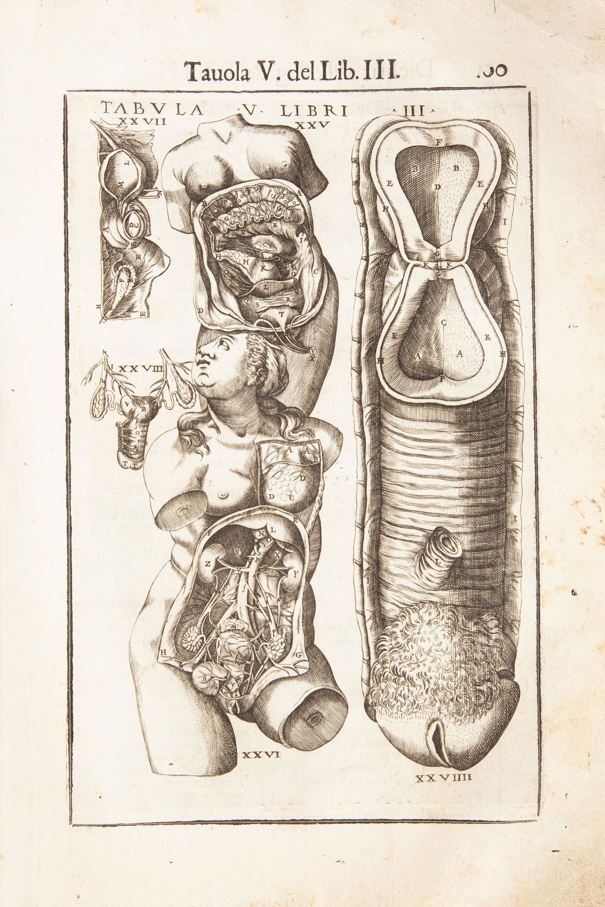Giovanni Valverde - Anatomia del Corpo Humano Nuovamente Ristampata e con L'aggiunta D'alcune Tav...
