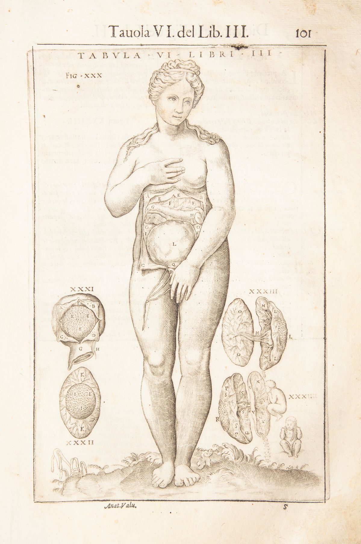 Giovanni Valverde - Anatomia del Corpo Humano Nuovamente Ristampata e con L'aggiunta D'alcune Tav...
