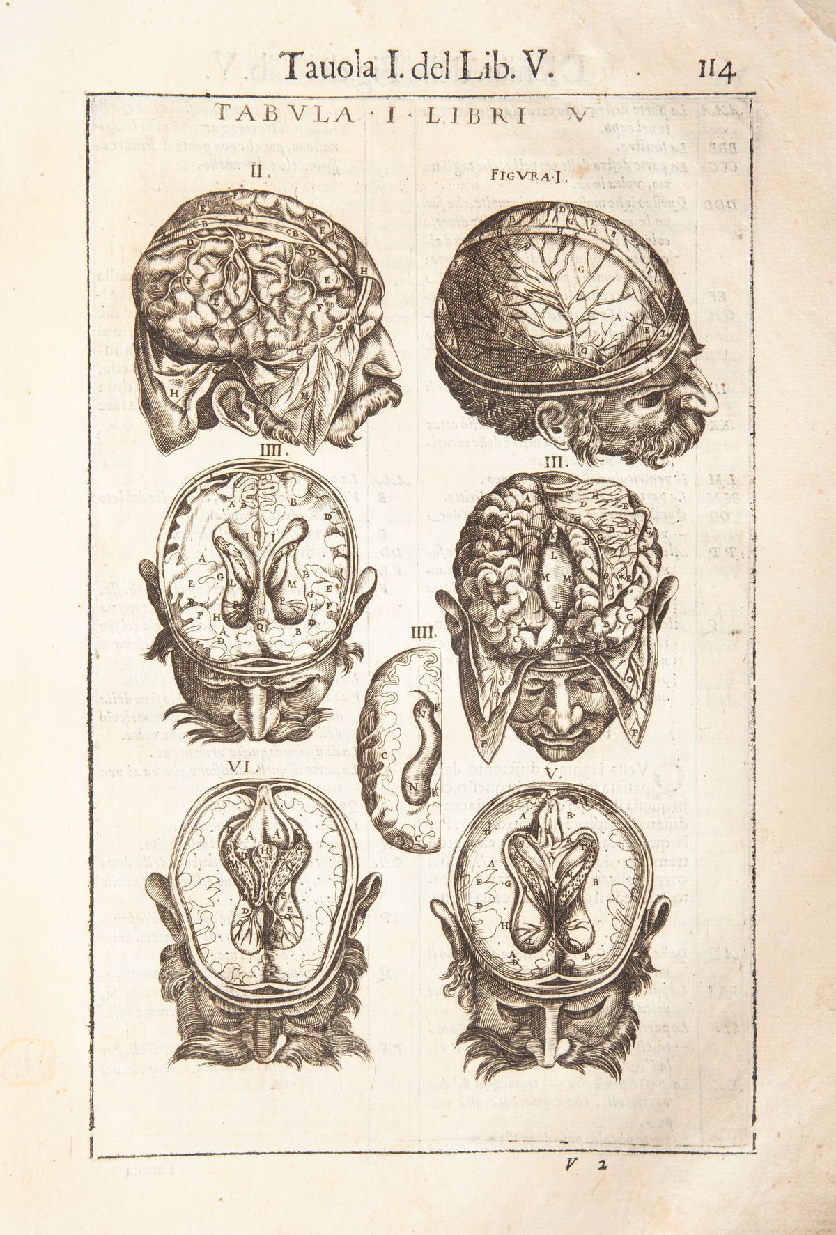 Giovanni Valverde - Anatomia del Corpo Humano Nuovamente Ristampata e con L'aggiunta D'alcune Tav...