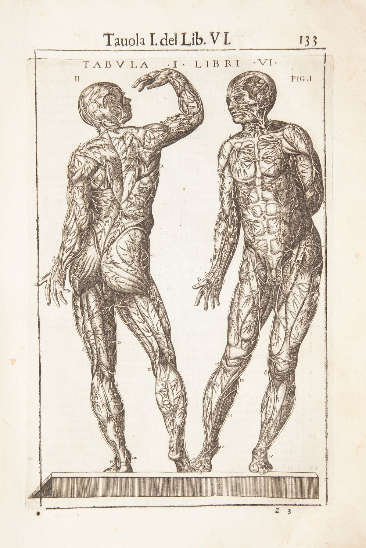 Giovanni Valverde - Anatomia del Corpo Humano Nuovamente Ristampata e con L'aggiunta D'alcune Tav...