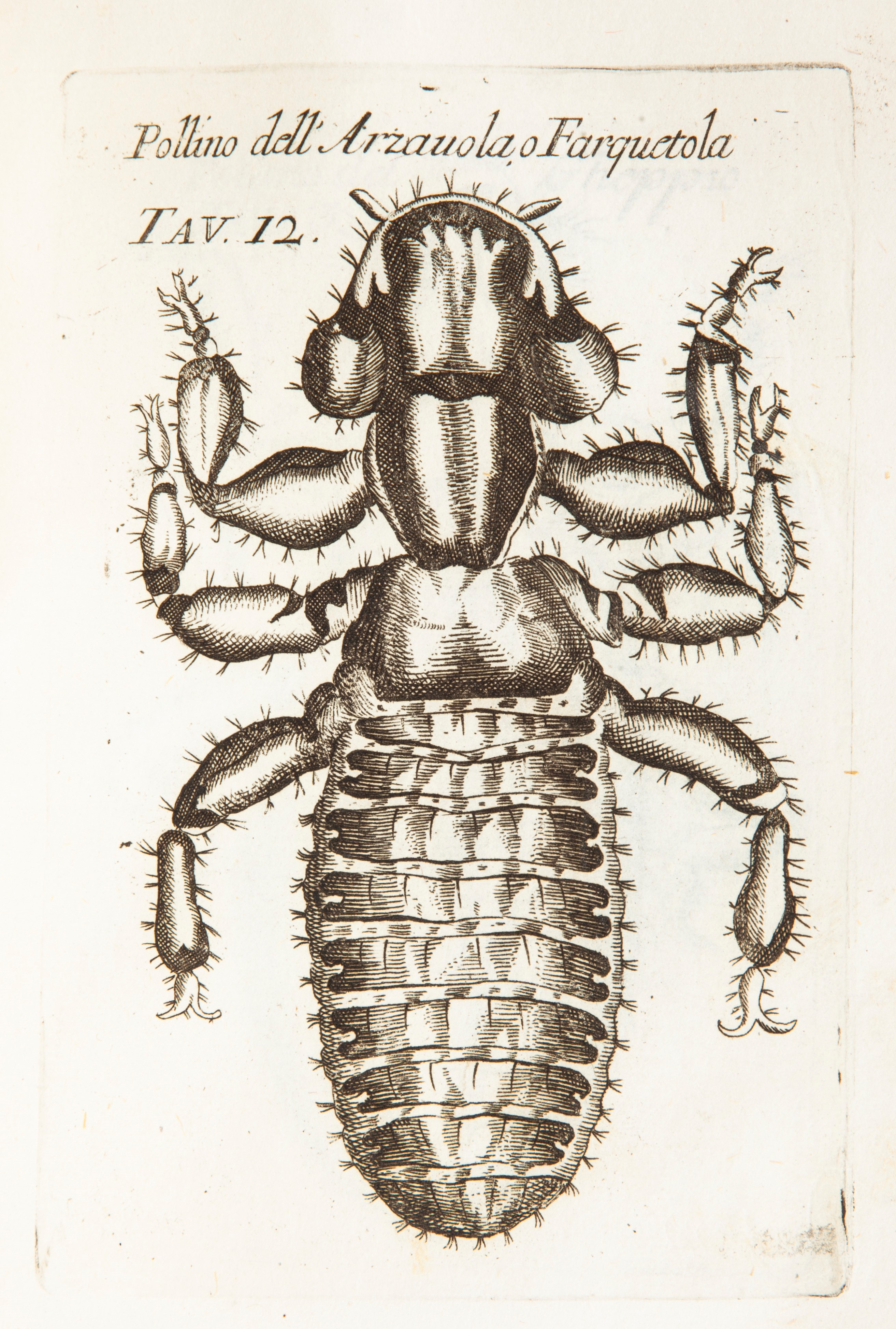 Opere di Francesco Redi gentiluomo aretino e accademico della Crusca In questa nuova edizione acc...