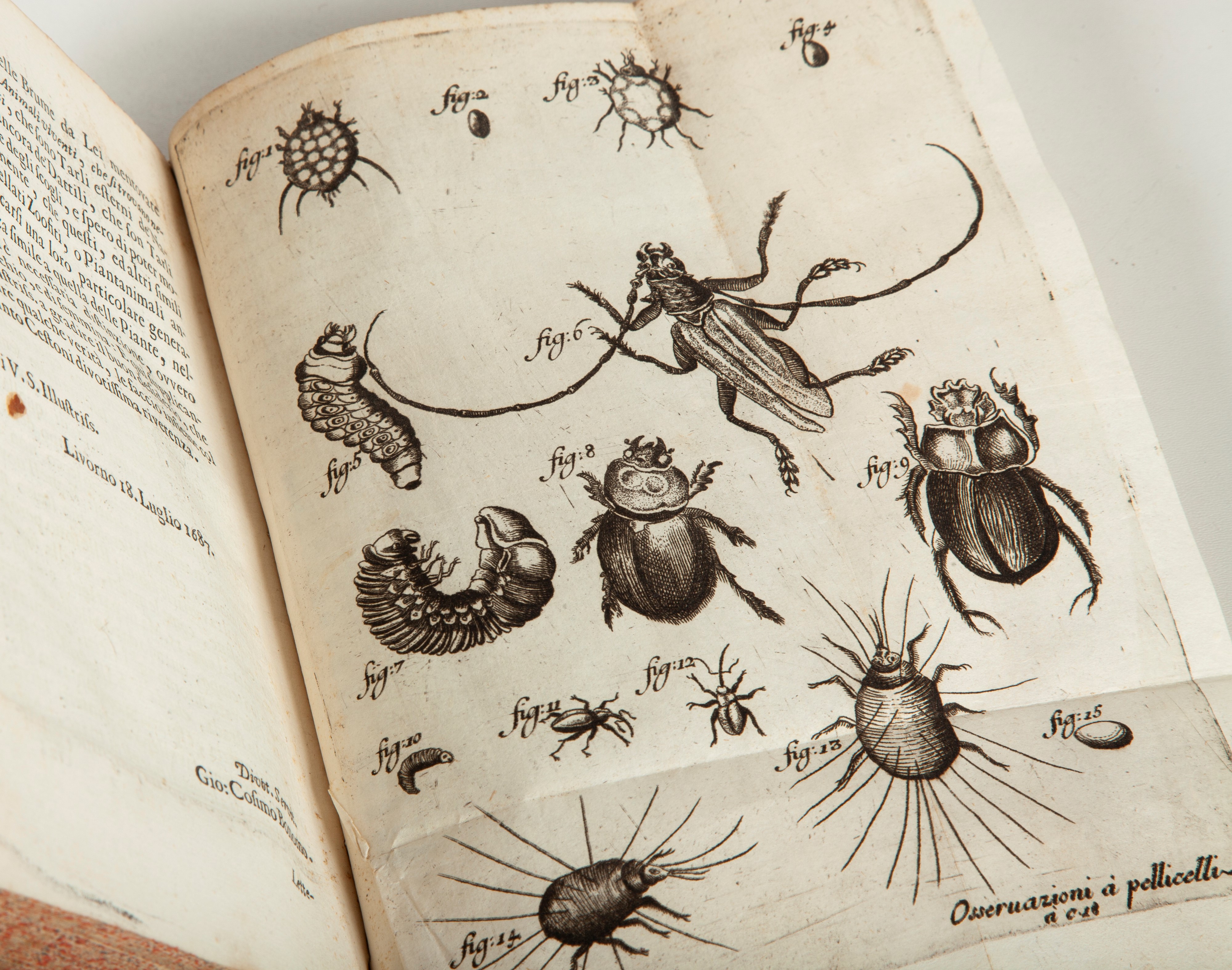 Opere di Francesco Redi gentiluomo aretino e accademico della Crusca In questa nuova edizione acc...