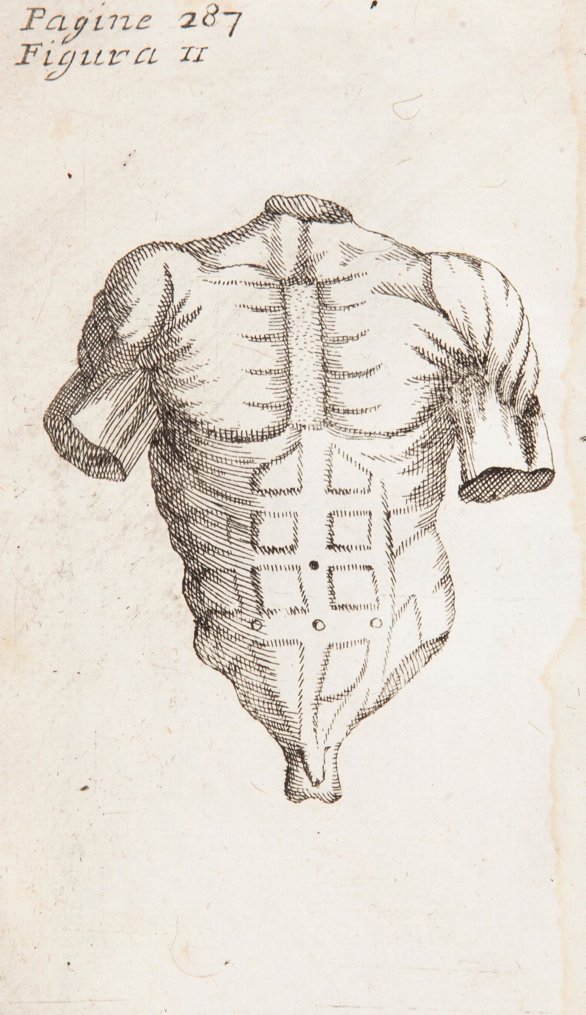 Filippo Masiero - la Chirurgia Compendiata, Ovvero Istruzioni per il Chirurgo in Pratica Sesta Ed...