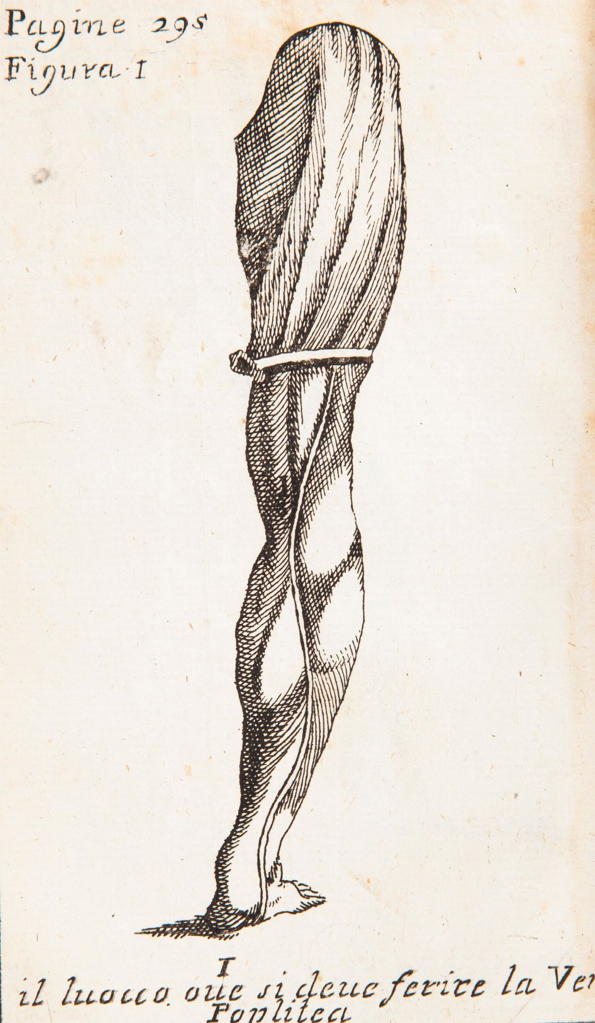 Filippo Masiero - la Chirurgia Compendiata, Ovvero Istruzioni per il Chirurgo in Pratica Sesta Ed...