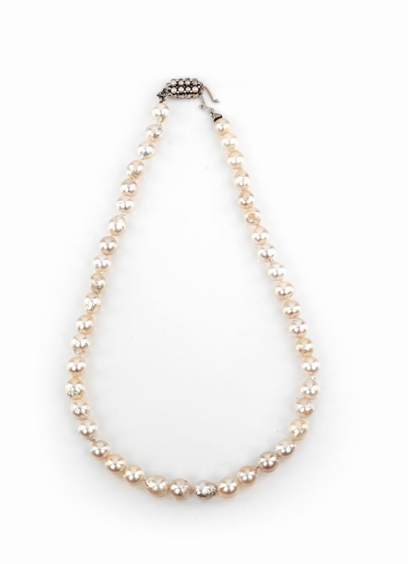 Collana di Perle con Chiusura in Oro