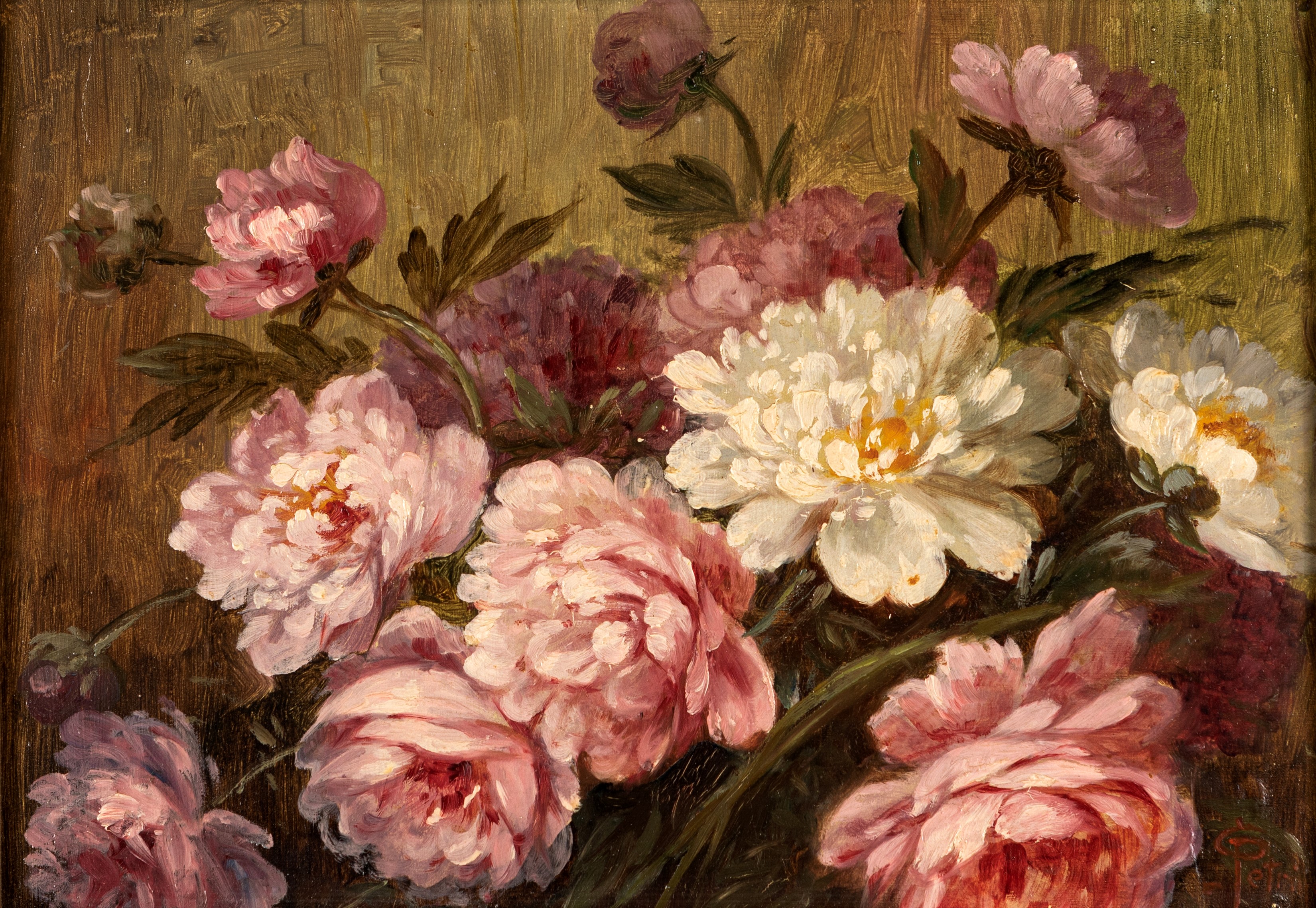 Guido Petrini - Peonie