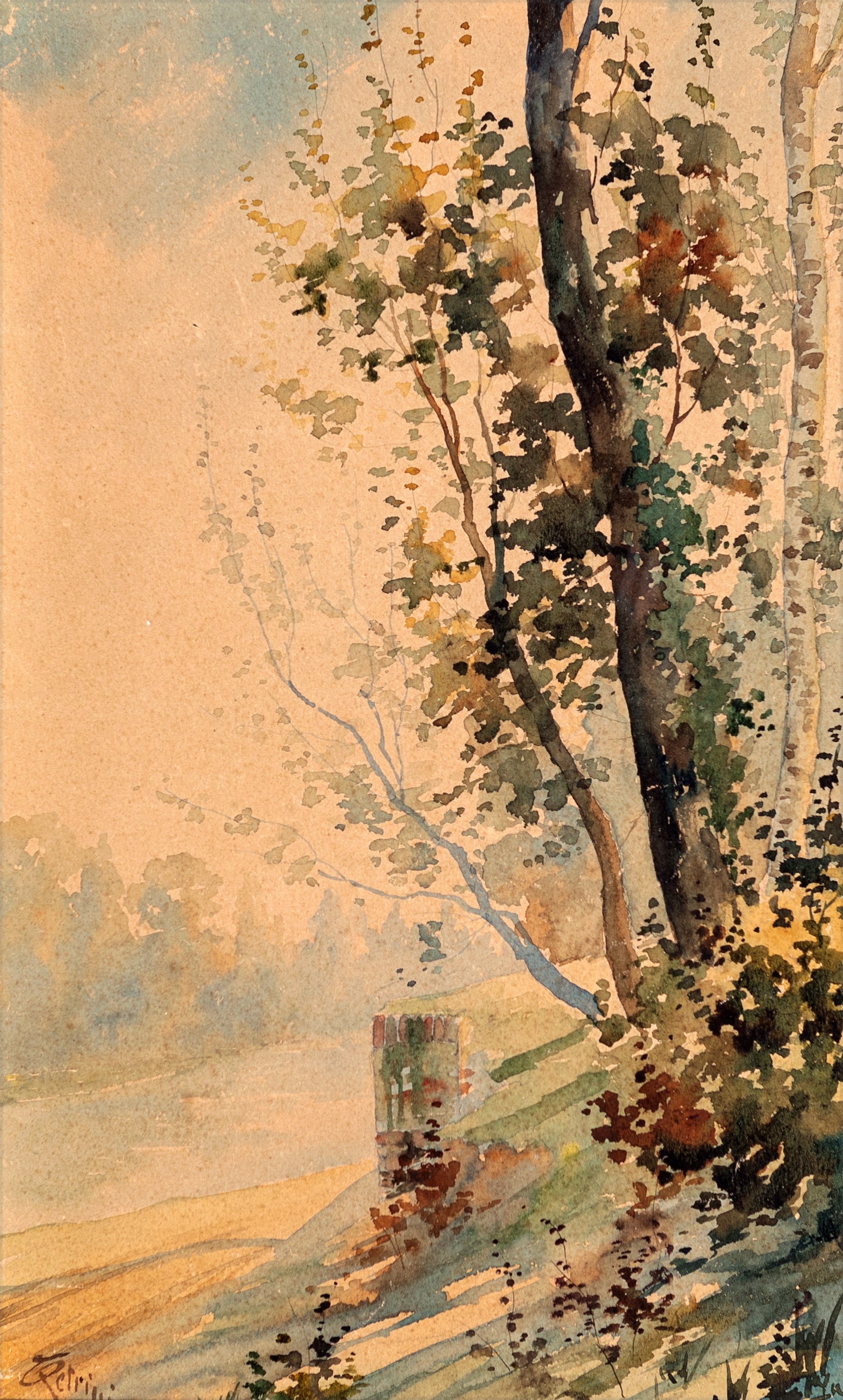 Paesaggio con alberi