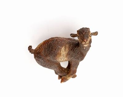 Agnellino Incaprettato