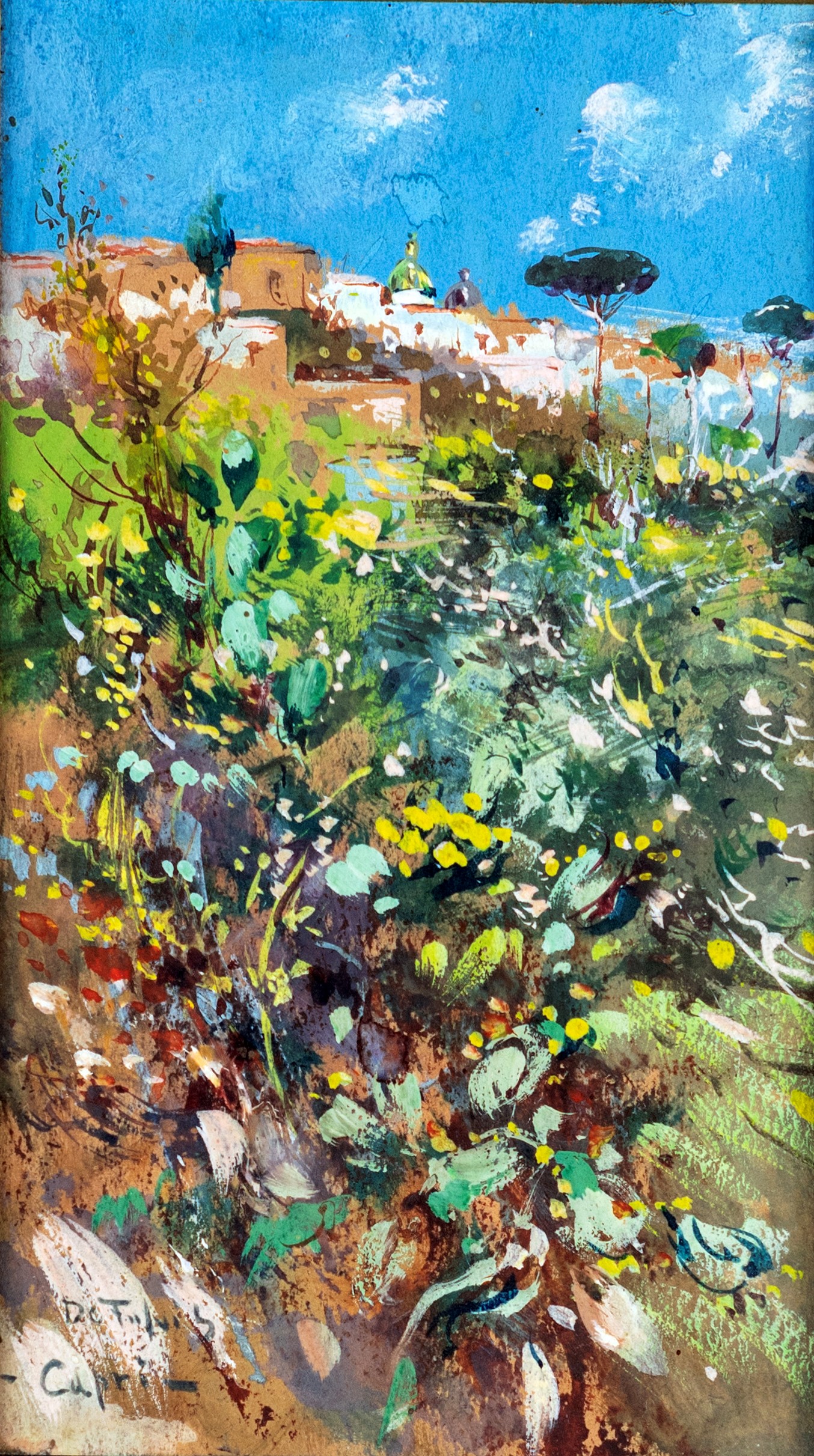 Fulvio Tessitore - Capri