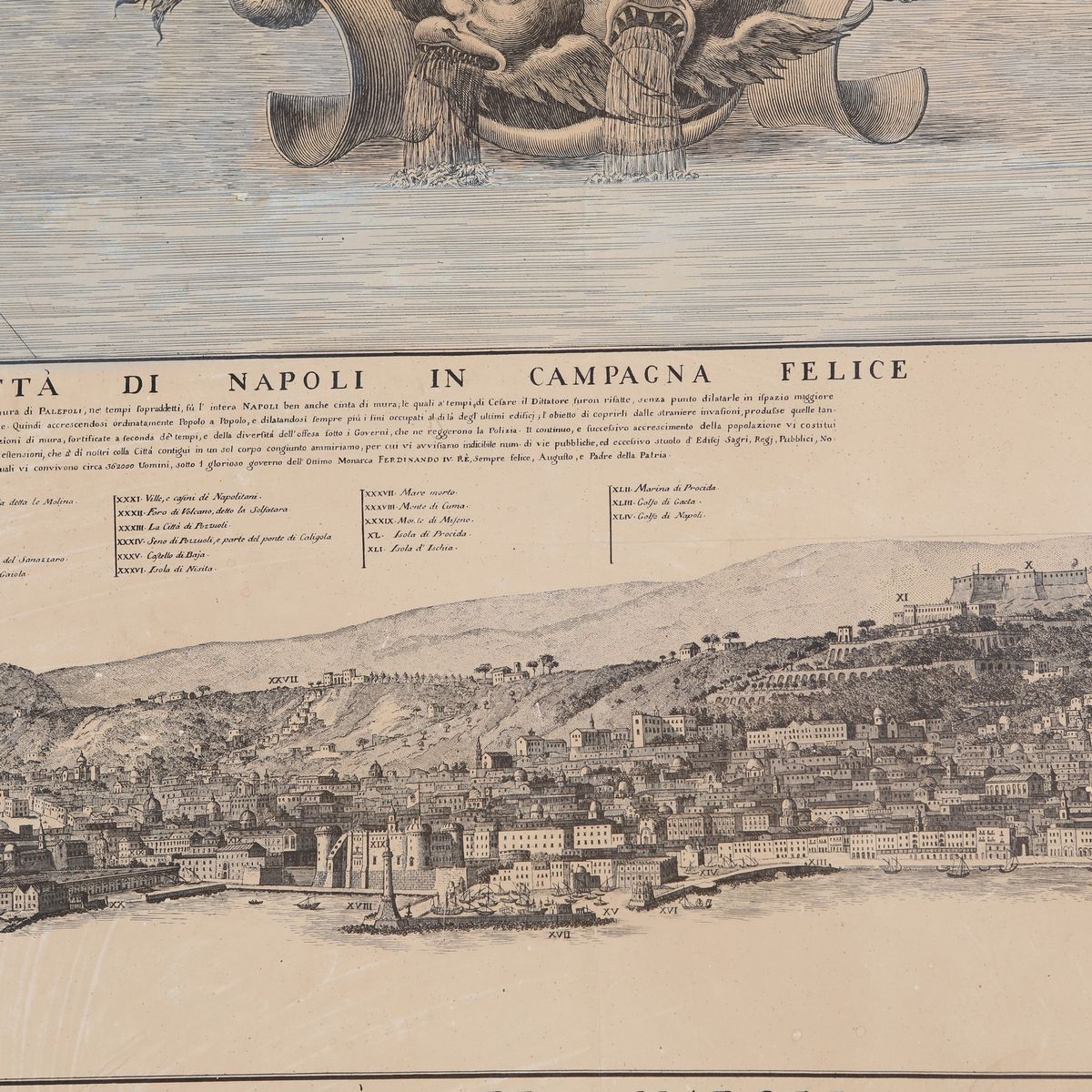 Grande Mappa Topografica di Napoli e De' Suoi Contorni, XIX Secolo