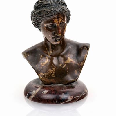 Testa di Venere