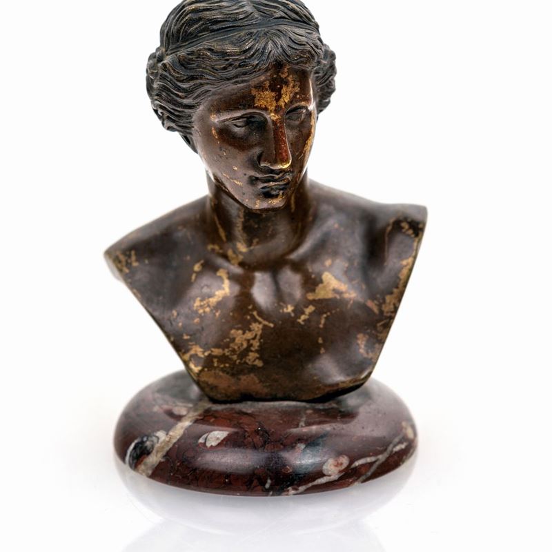 Testa di Venere