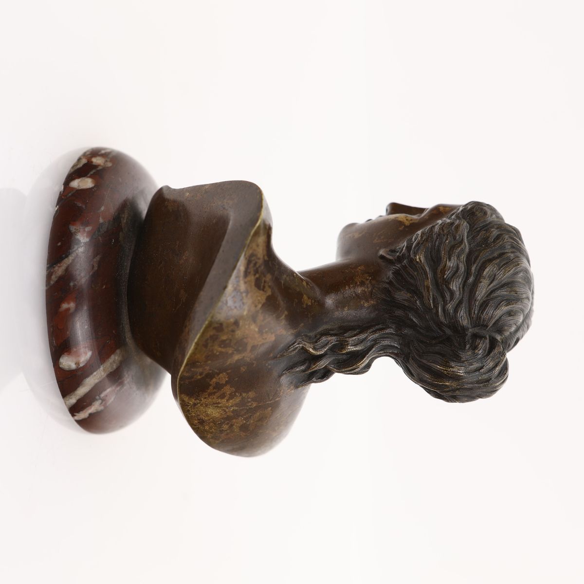 Testa di Venere
