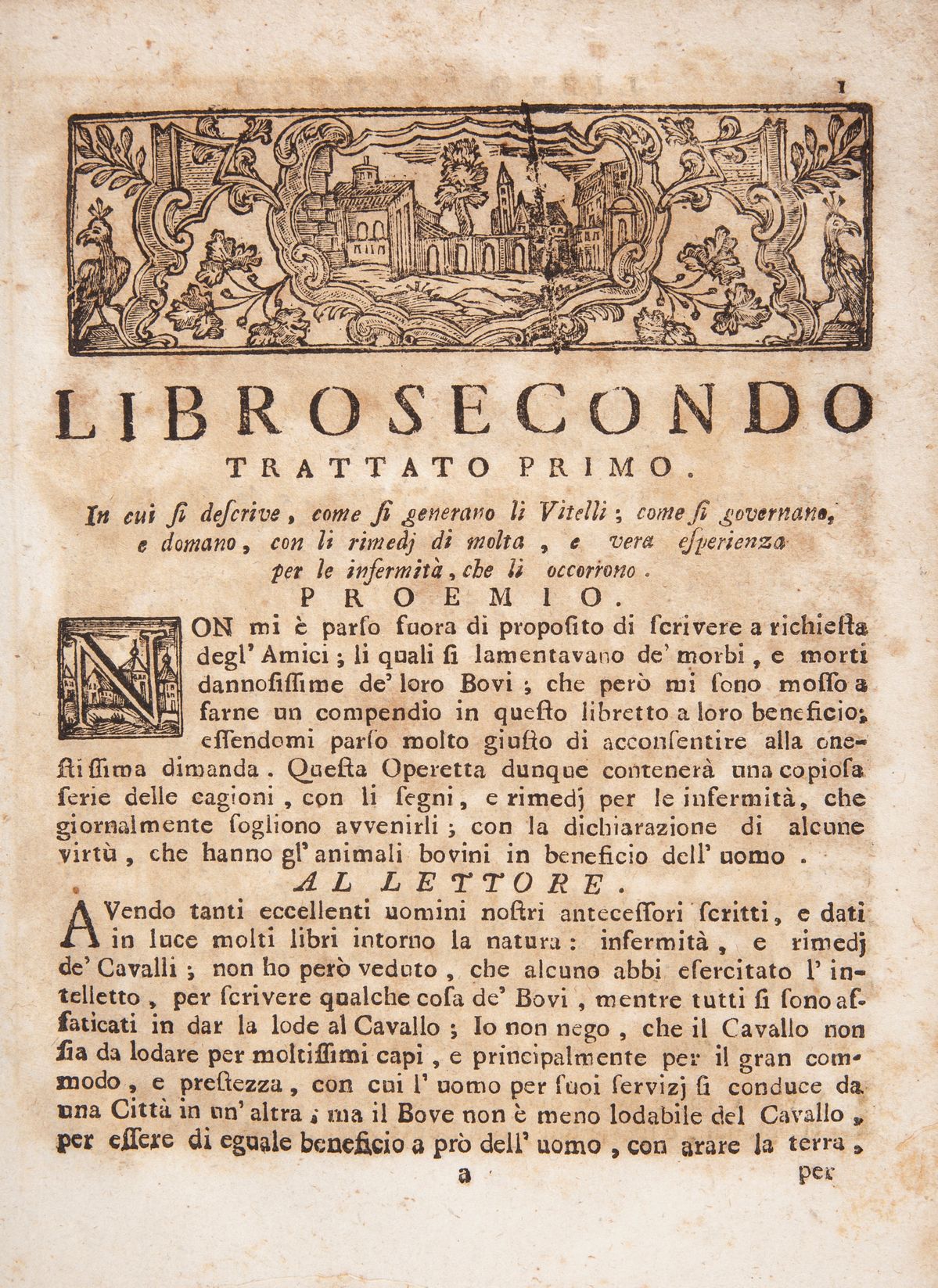 Giovanni Battista Trutta - Novello giardino della prattica, ed esperienza di Gio. Batista Trutta ...