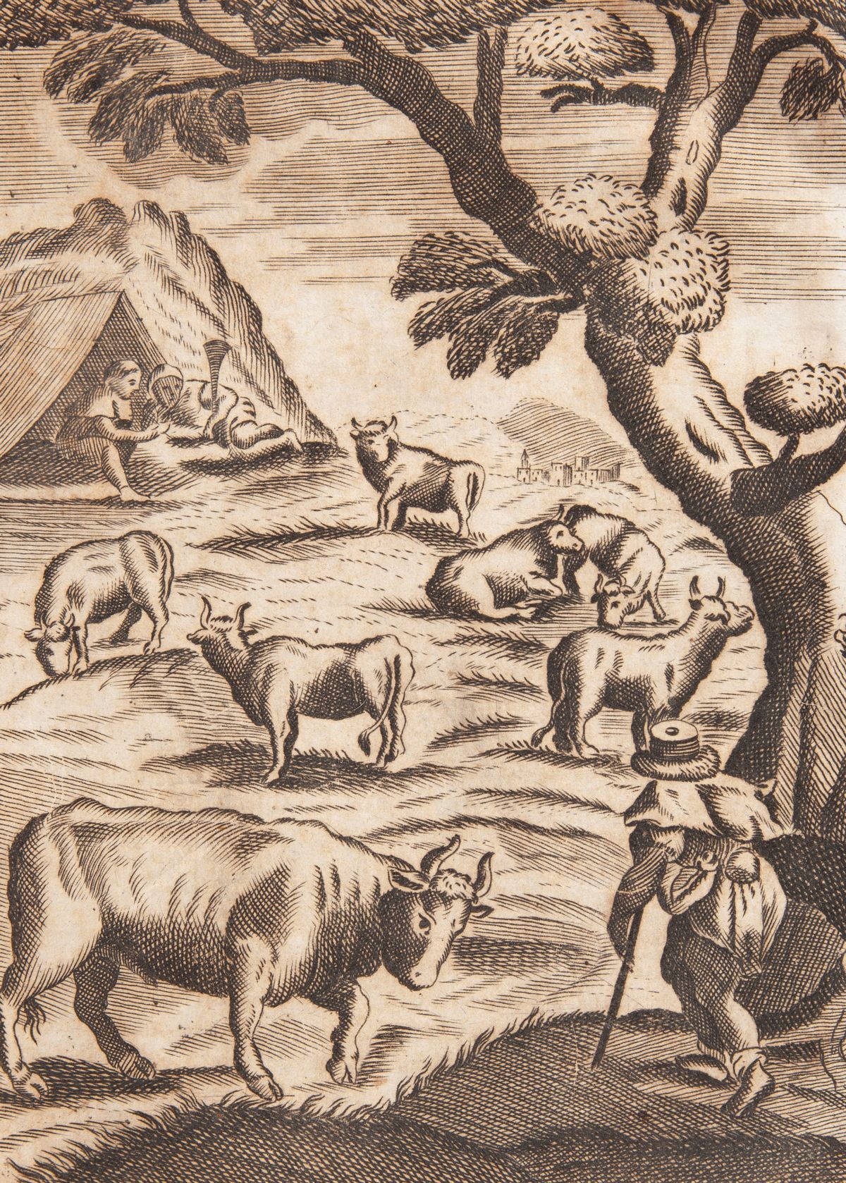 Giovanni Battista Trutta - Novello giardino della prattica, ed esperienza di Gio. Batista Trutta ...